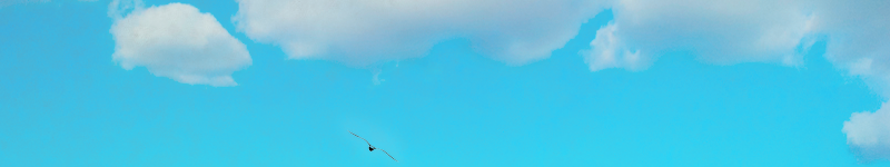 株式会社モーコミワールド